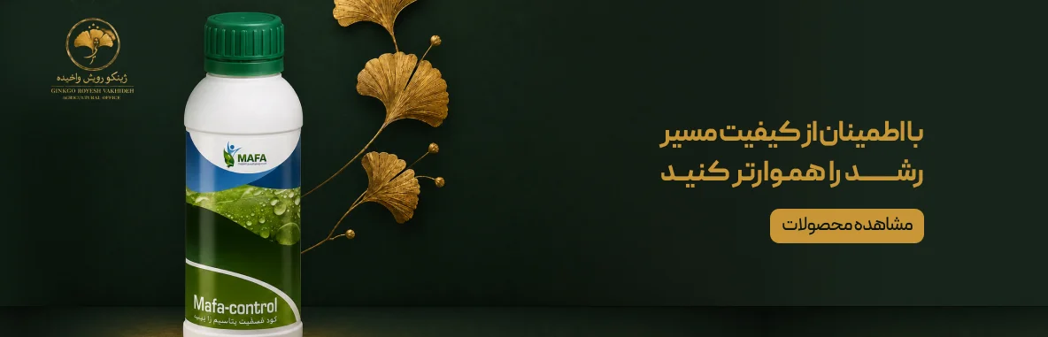 مسیر رشد را هموارتر کنید