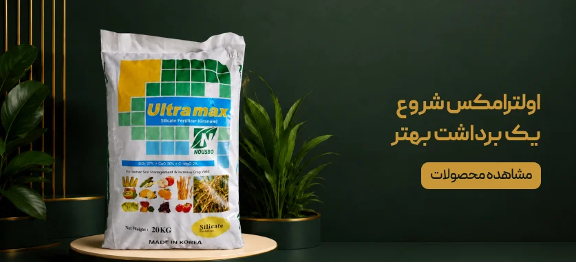 شروعِ یک برداشت بهتر